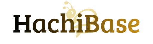 HACHIBASE STORE
